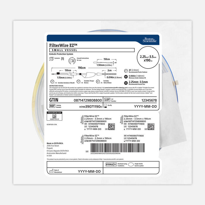 FILTERWIRE EZ Embolic Protection System FILTERWIRE EZ Embolic Protection System